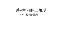 4.6 相似多边形 浙教版数学九年级上册同步课件