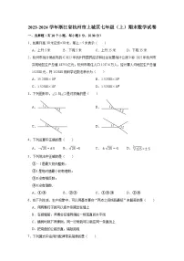 2023-2024学年浙江省杭州市上城区七年级（上）期末数学试卷