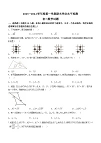 山东省淄博市张店区2023-2024学年七年级上学期期末数学试题