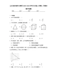 山东省济南市天桥区2023-2024学年九年级上学期1月期末数学试题(含答案)