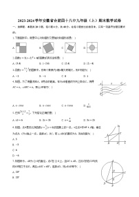 2023-2024学年安徽省合肥四十八中九年级（上）期末数学试卷（含解析）