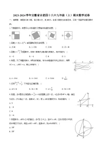 2023-2024学年安徽省合肥四十八中九年级（上）期末数学试卷（含解析）