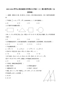 2023-2024学年山东省威海市环翠区七年级(上)期末数学试卷(五四学制)(含解析)
