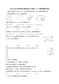 2023-2024學(xué)年河北省滄州市九年級(jí)（上）期末數(shù)學(xué)試卷（含解析）