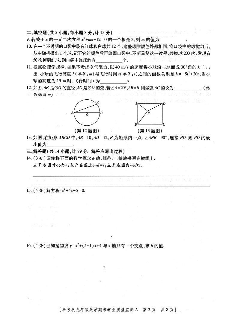陕西省安康市石泉县2023-2024学年度九年级上学期期末考试数学试题+02