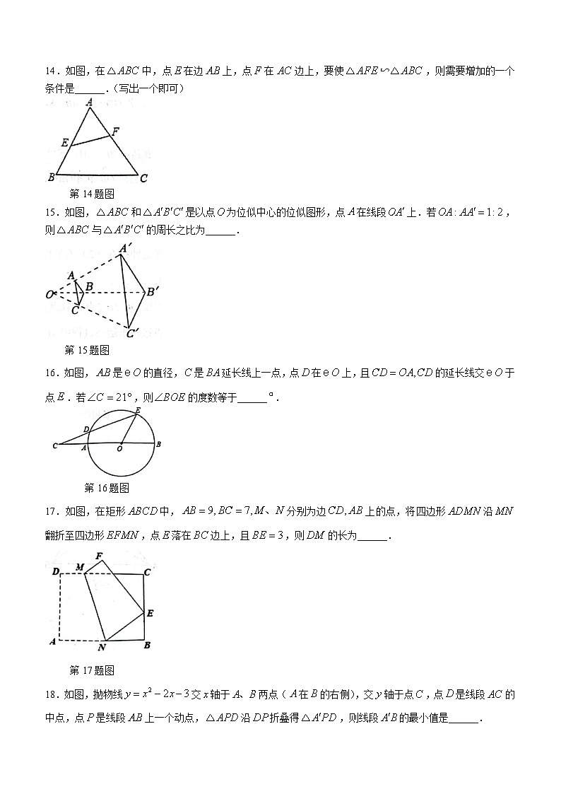 江苏省宿迁市沭阳县2023-2024学年九年级上学期期末数学试题()第3页