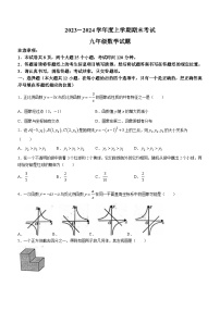 山东省泰安市肥城市2023-2024学年九年级上学期期末数学试题