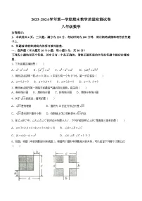 河南省洛阳市新安县2023-2024学年八年级上学期期末数学试题(无答案)