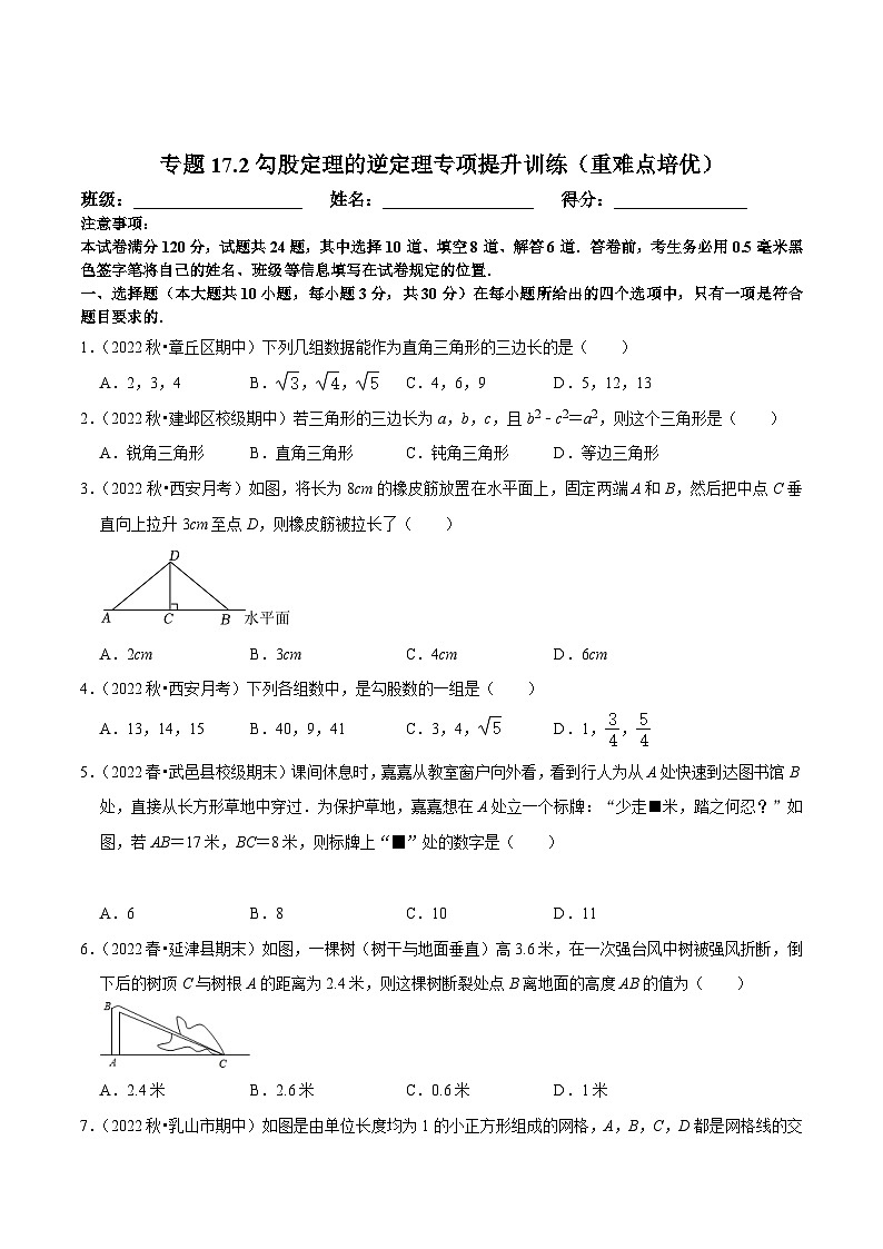 八年级数学下册尖子生培优必刷题 专题17.2勾股定理的逆定理专项提升训练(重难点培优)(原卷版+解析)01