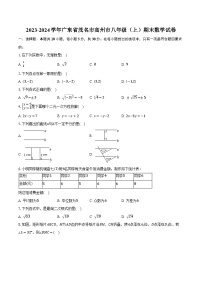 2023-2024学年广东省茂名市高州市八年级（上）期末数学试卷（含解析）