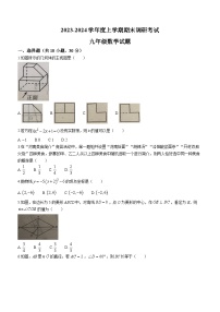 河南省周口市扶沟县2023-2024学年九年级上学期期末数学试题