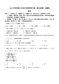 广西壮族自治区梧州市苍梧县2023-2024学年九年级上学期期末数学试题