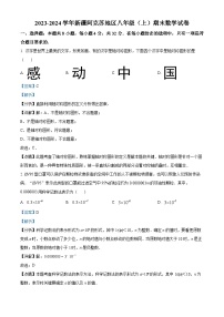 新疆维吾尔自治区阿克苏地区2023-2024学年八年级上学期期末数学试题