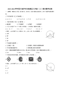 2023-2024学年四川省泸州市纳溪区九年级（上）期末数学试卷（含解析）