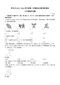 江苏省常州市2023-2024学年八年级上学期期末数学试题