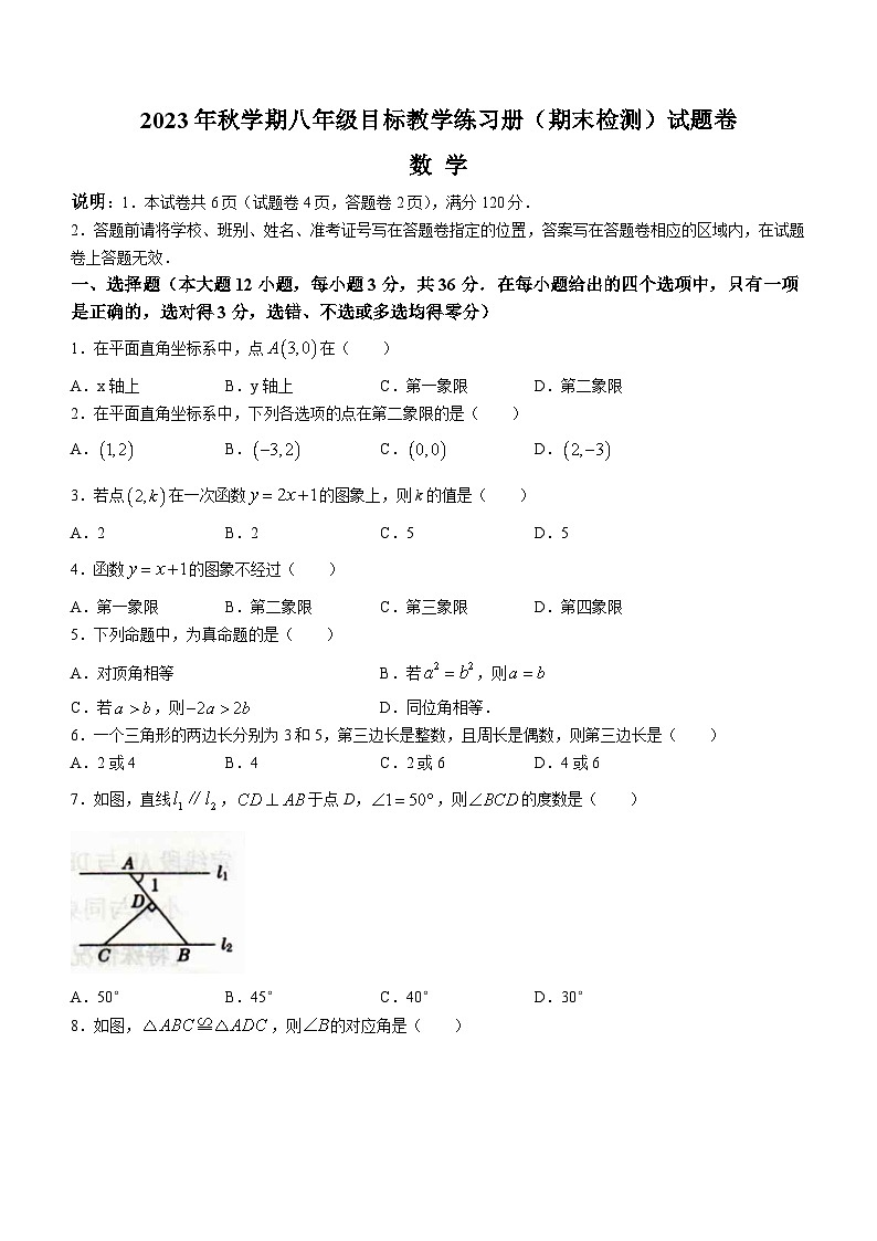 广西壮族自治区梧州市苍梧县2023-2024学年八年级上学期期末数学试题01