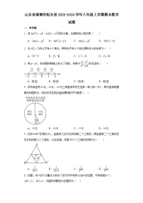 山东省淄博市桓台县2023-2024学年八年级（上）学期期末数学试卷（含解析）