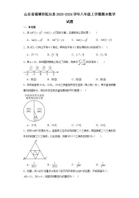 山东省淄博市桓台县2023-2024学年八年级(上)学期期末数学试卷(含解析)