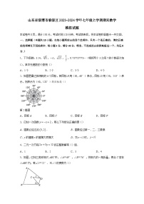 山东省淄博市临淄区2023-2024学年七年级上册期末数学模拟试题（附答案）