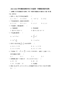 2023-2024学年湖南省郴州市八年级（上）期末数学试卷（含解析）
