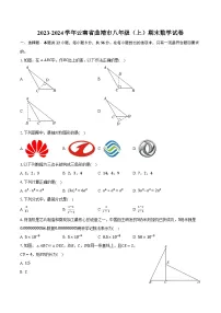 2023-2024学年云南省曲靖市八年级(上)期末数学试卷(含解析)