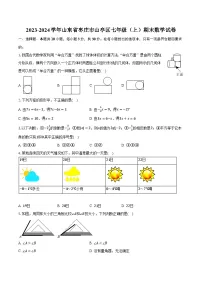 2023-2024学年山东省枣庄市山亭区七年级(上)期末数学试卷(含解析)