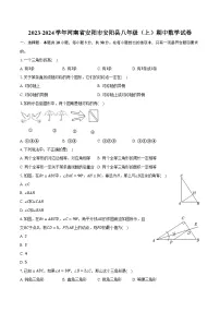 2023-2024学年河南省安阳市安阳县八年级（上）期中数学试卷（含解析）