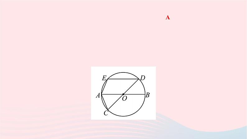 2024九年级数学下册第27章圆27.1圆的认识27.1.2圆的对称性第1课时圆心角弧弦之间的关系作业课件新版华东师大版06