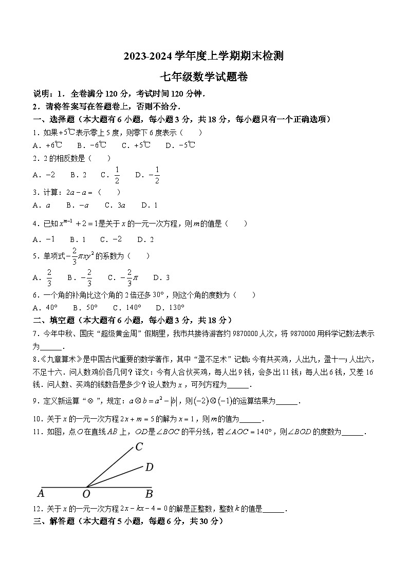 江西省赣州市大余县2023-2024学年七年级上学期期末数学试题(含答案)01