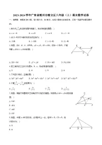 2023-2024学年广东省潮州市潮安区八年级（上）期末数学试卷-普通用卷