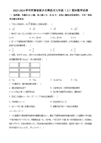 河南省新乡市辉县市2023-2024学年九年级上学期期末数学试题(原卷+解析)