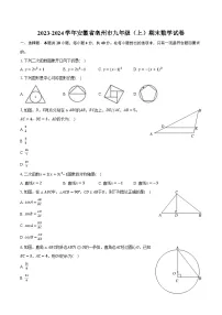 2023-2024学年安徽省亳州市九年级（上）期末数学试卷（含解析）