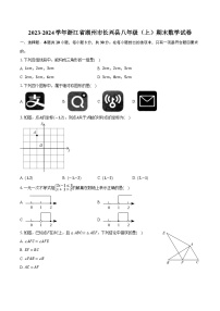 2023-2024學(xué)年浙江省湖州市長(zhǎng)興縣八年級(jí)（上）期末數(shù)學(xué)試卷（含解析）