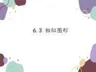 6.3 相似图形 苏科版数学九年级下册课件