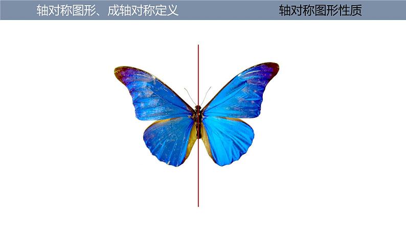 第2章 轴对称图形复习 苏科版八年级数学上册课件04