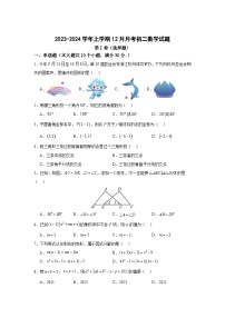 山东省滨州市2023-2024学年八年级上学期12月月考数学试卷(含答案)