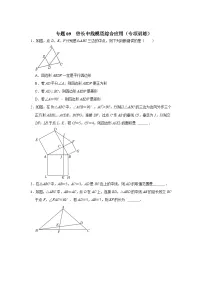 2024年中考数学专题训练 专题09 倍长中线模型综合应用(专项训练)(原卷版+解析)