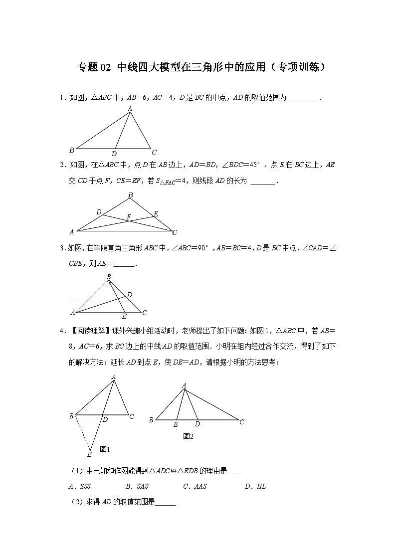 2024年中考数学专题训练 专题02 中线四大模型在三角形中的应用(专项训练)(原卷版+解析)01