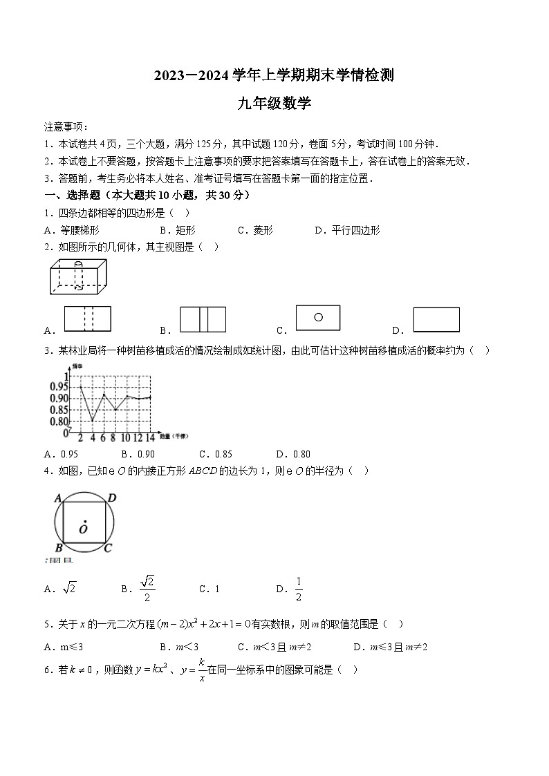 河南省平顶山市郏县2023-2024学年九年级上学期期末数学试题01
