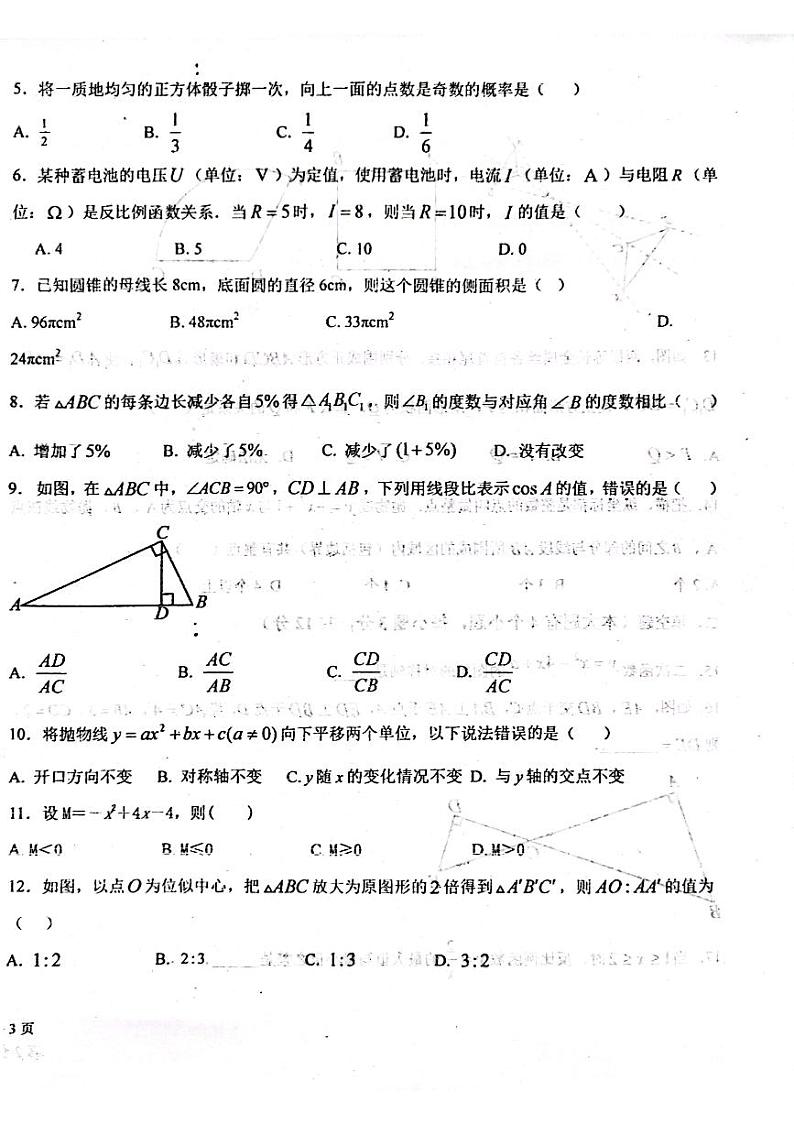 河北省廊坊市育人学校2023—2024学年下学期开学测试九年级数学试题第2页