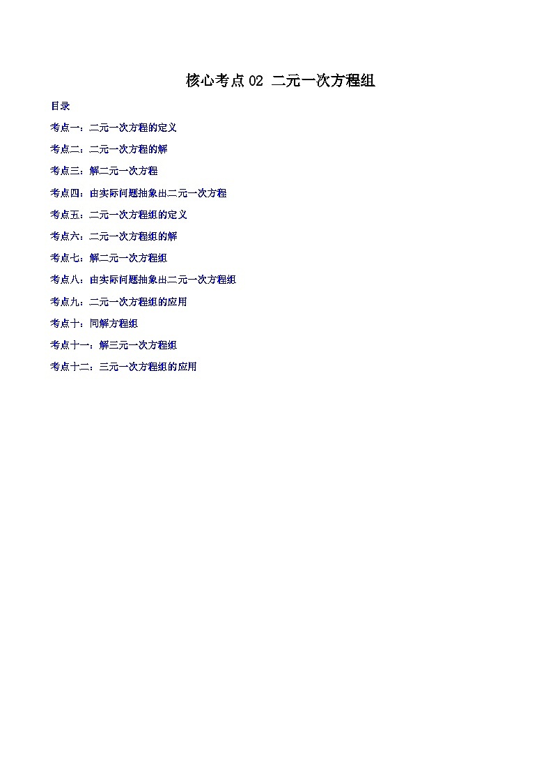 核心考点02 二元一次方程组(解析版)第1页