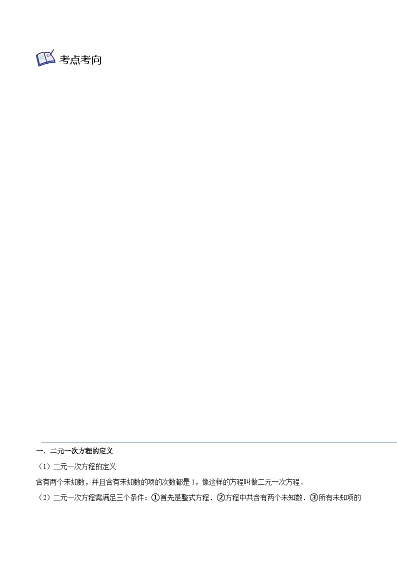 核心考点02 二元一次方程组(原卷版)第2页