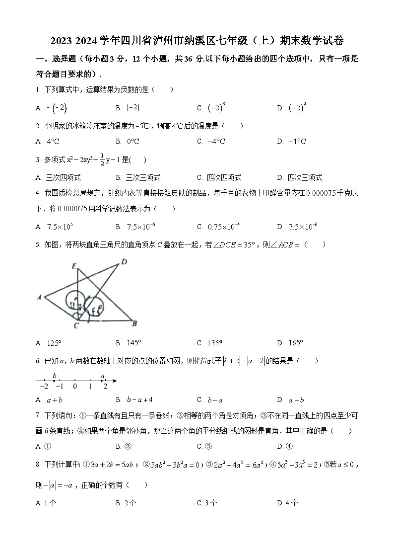 四川省泸州市纳溪区2023-2024学年七年级上学期期末数学试题(原卷+解析)01