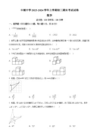 江西省宜春市丰城中学2023-2024学年九年级上学期期末数学试题(原卷+解析)
