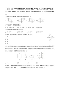 2023-2024学年河南省驻马店市汝南县八年级（上）期末数学试卷（含解析）