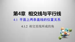 湘教版数学七年级下册 4.1.2 相交直线所成的角课件