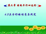 6.3正方形的性质与判定 (1)　课件　2021—2022学年鲁教版（五四制）数学八年级下册