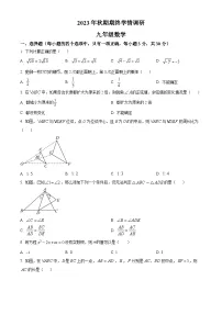 河南省南阳市桐柏县2023-2024学年九年级上学期期末数学试题(原卷版+解析版)