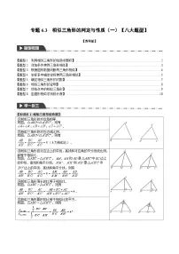 专题6.3 相似三角形的判定与性质(一)【八大题型】-2023-2024学年九年级数学下册举一反三系列(苏科版)