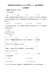 河南省信阳市淮滨县2023-2024学年七年级上学期期末数学试题（原卷版+解析版）